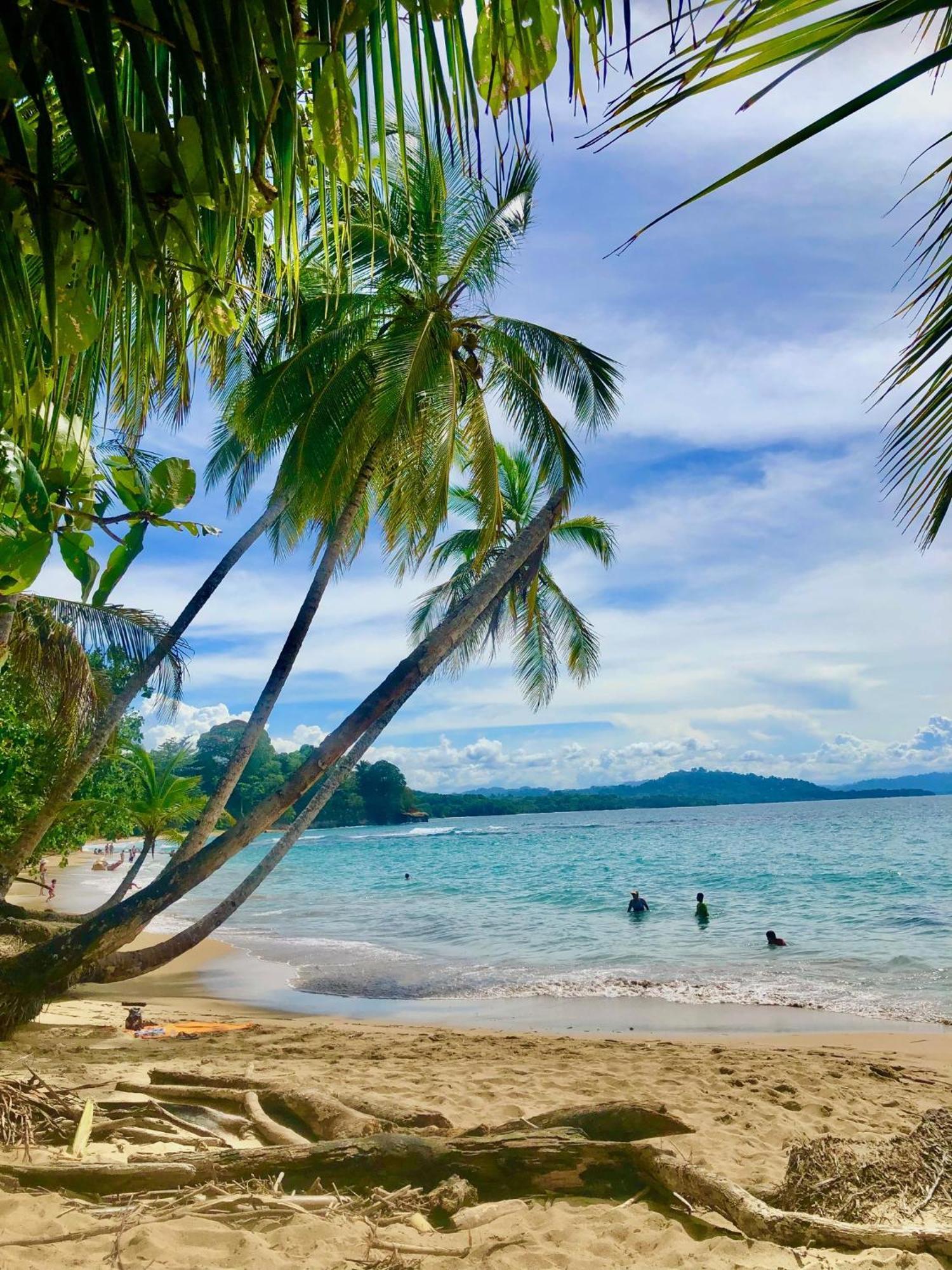 Cabinas Ole Caribe Puerto Viejo de Talamanca Exteriér fotografie