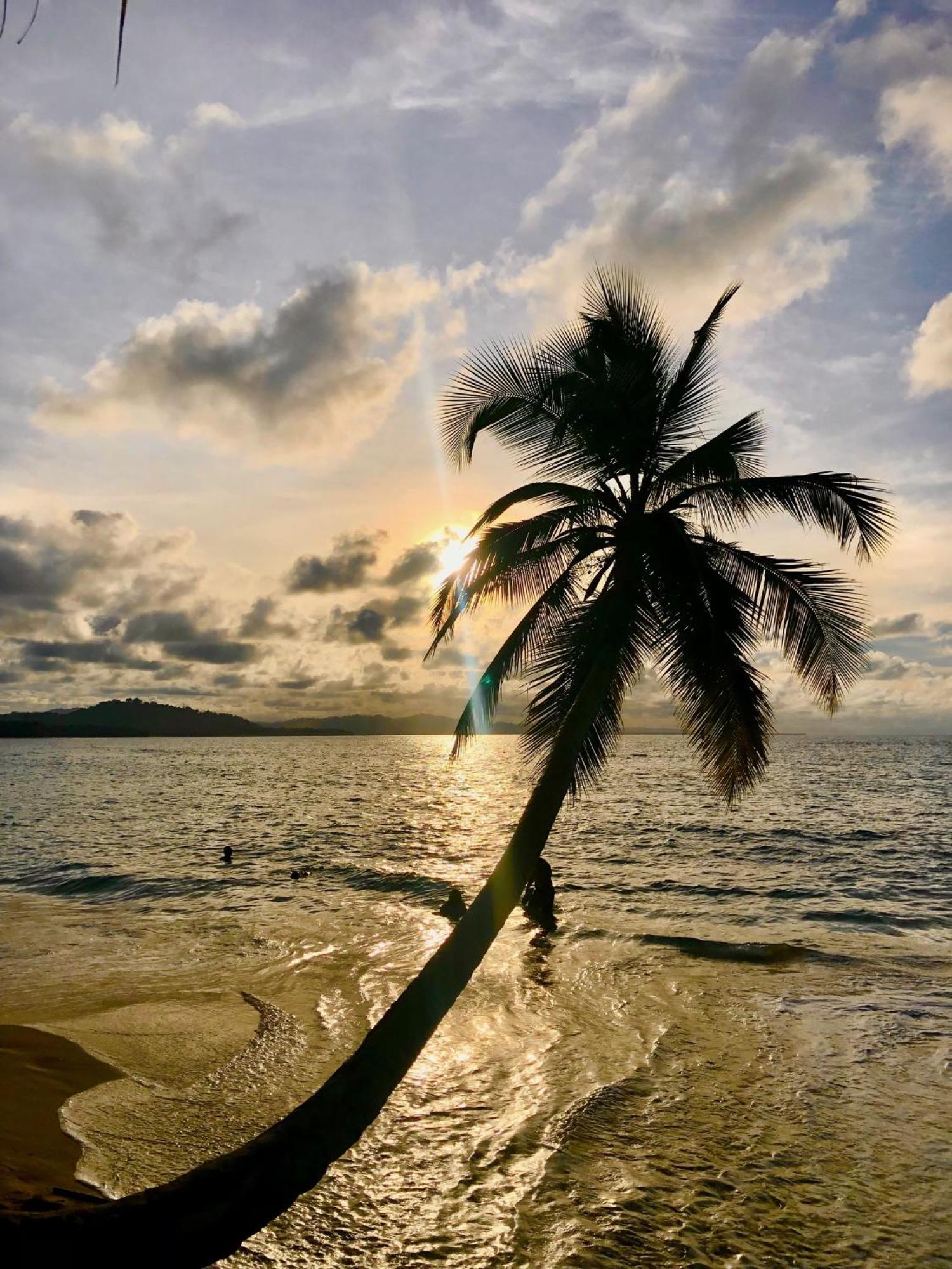 Cabinas Ole Caribe Puerto Viejo de Talamanca Exteriér fotografie